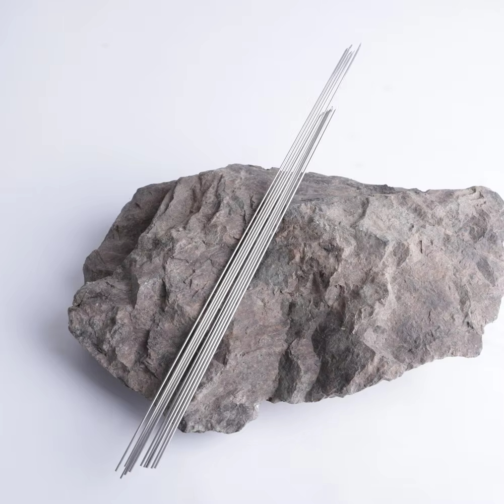 Earthworm Hooking Needle Stain - Fishing Equipment Basics 评论和价格