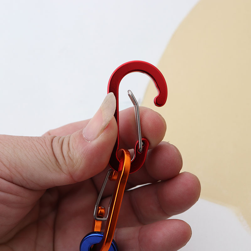6pcs Carabiner Keychain Key Ch - Fishing Equipment Basics 评论和价格